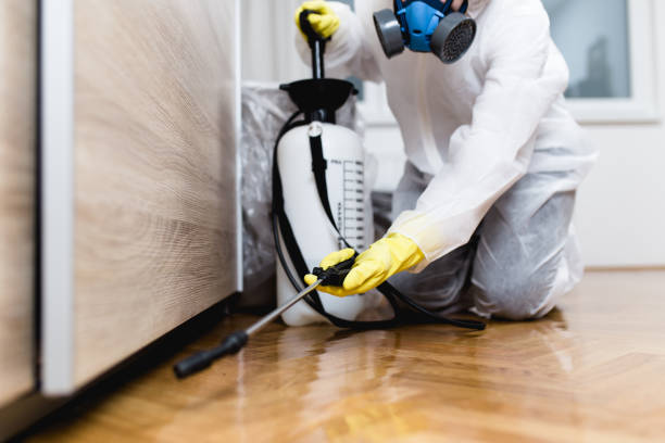 Best Best Pest Control Companies  in Woodland Park, NE