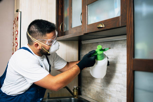 Best Commercial Pest Control Services  in Woodland Park, NE