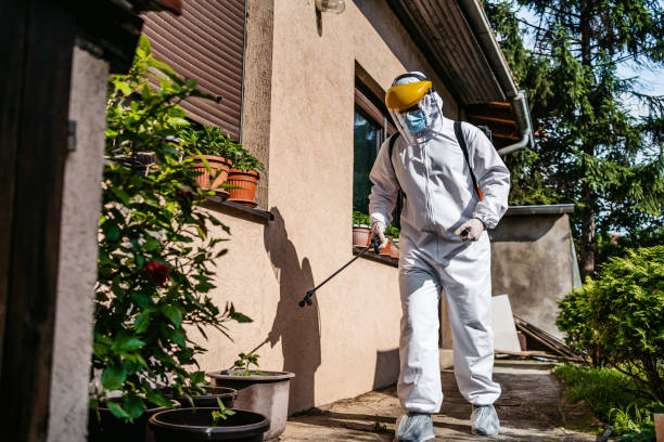 Best Mosquito Control Services  in Woodland Park, NE