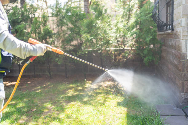 Best Local Pest Control Services  in Woodland Park, NE